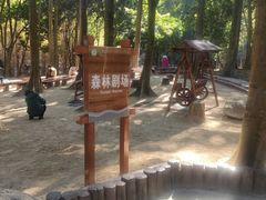 -广州市帽峰山景区