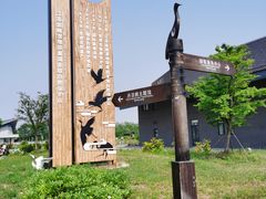 -盐城丹顶鹤湿地生态旅游区