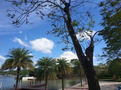 -宝安西湾红树林湿地公园