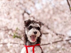 -龙美术馆(西岸馆)