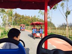 -上海长兴岛郊野公园