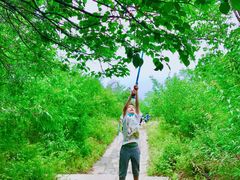 -阳台山自然风景区