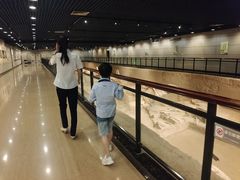 -洛阳周王城天子驾六博物馆