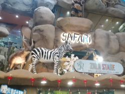 -卡通尼·Safari非洲探索乐园·生日会(金桥国际商业广场店)