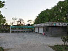 -上海海湾国家森林公园