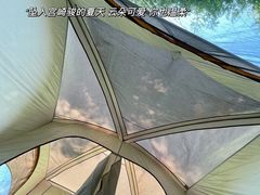 -泰丰公园