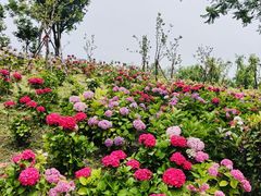 -成都中医药大学(温江校区)