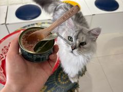 -平行世界·猫咖(首经贸店)