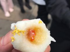 -野荸荠
