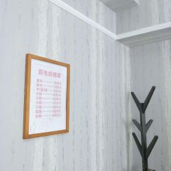 -英刺青 纹身 洗纹身