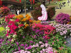 -广州市白云山风景名胜区