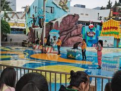-海合安成都极地海洋公园