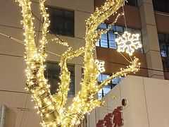 -鞍山新村(地铁站)