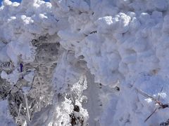 -安吉龙王山风景区