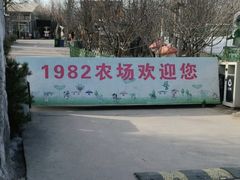 -1982农场