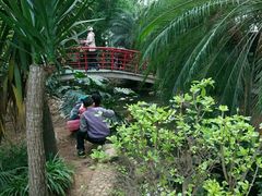 -石家庄市植物园