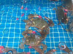 -宾朋海鲜饭庄(兴海路店)