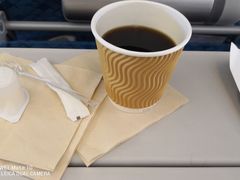 -米兰马尔彭萨国际机场