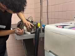 -FAELING PETS美天灵宠物(富力广场店)