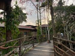 -海南槟榔谷黎苗文化旅游区