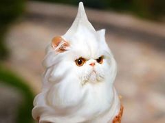 -香港仔茶餐厅(凤阳店)