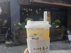 -一叶觅山(半边街店)