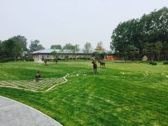 -北京麋鹿生态实验中心