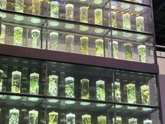 -广东中医药博物馆