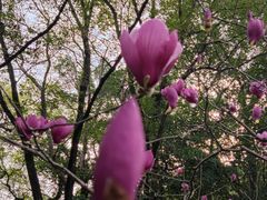 -乌山风景区