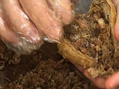 -老爆肚满五香烧牛羊肉