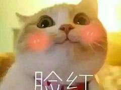 -YCHL Studios健身工作室(市二宫店)
