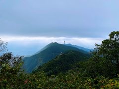 -梧桐山风景名胜区