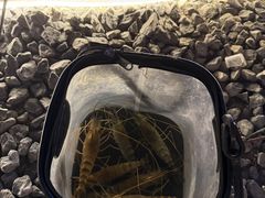 -DGE季风钓虾营地·团建·聚会