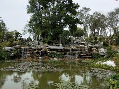-东莞植物园