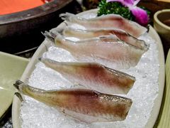 -渝味晓宇火锅(合川路店)