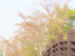 -西山漾湿地公园