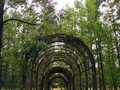 -国家植物园南园