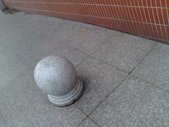 门急诊-上海市第五人民医院