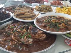 -庆岭迎宾园正宗活鱼馆