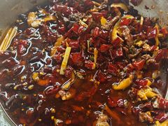 -食神又名厕所兔