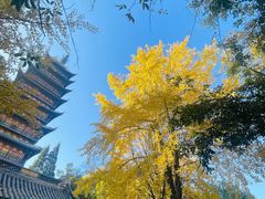 -常熟方塔园