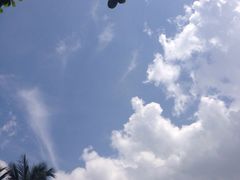 -三亚珠江南田温泉度假区