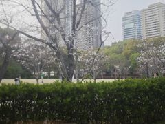 -虹之森·小馆