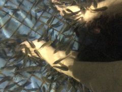 -三亚亚龙湾金棕榈度假酒店
