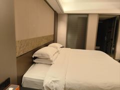 -天艺东环酒店(海口高铁东站龙湖天街店)