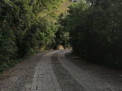 -紫金山天文台