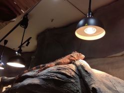 -Zoolung Zoolung动物主题公园(海信广场店)