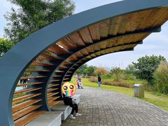 -芒洲湿地公园