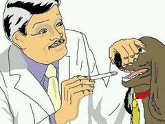 android_upload_pic-瑞派雷欧宠物医院·24h夜诊·心脏骨科牙科·全科重症转诊中心(无影山店)