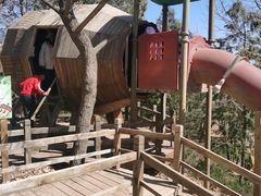 -北京西山国家森林公园